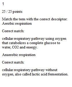 Worksheet 4.3